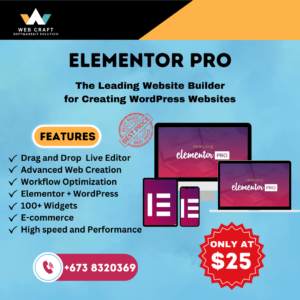 ELEMENTOR PRO